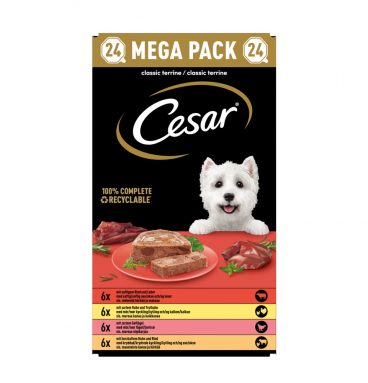 Cesar Kuipjes Hondenvoer Paté Terrine Multi-pack 24 x 150 gr