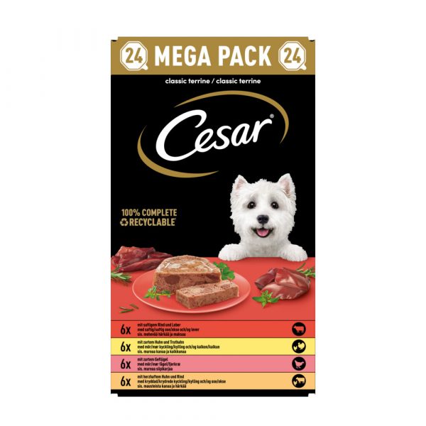 Cesar Kuipjes Hondenvoer Paté Terrine Multi-pack 24 x 150 gr