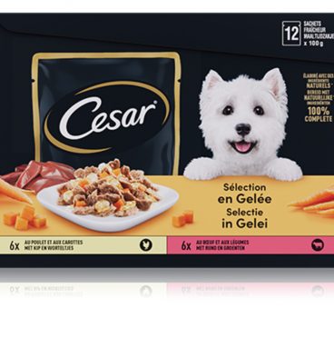 4x Cesar Maaltijdzakjes in Gelei 12 x 100 gr