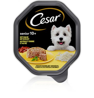 14x Cesar Senior in Gelei Kuipje Kip en Rijst 150 gr