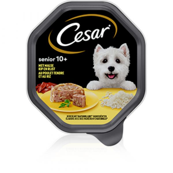 14x Cesar Senior in Gelei Kuipje Kip en Rijst 150 gr