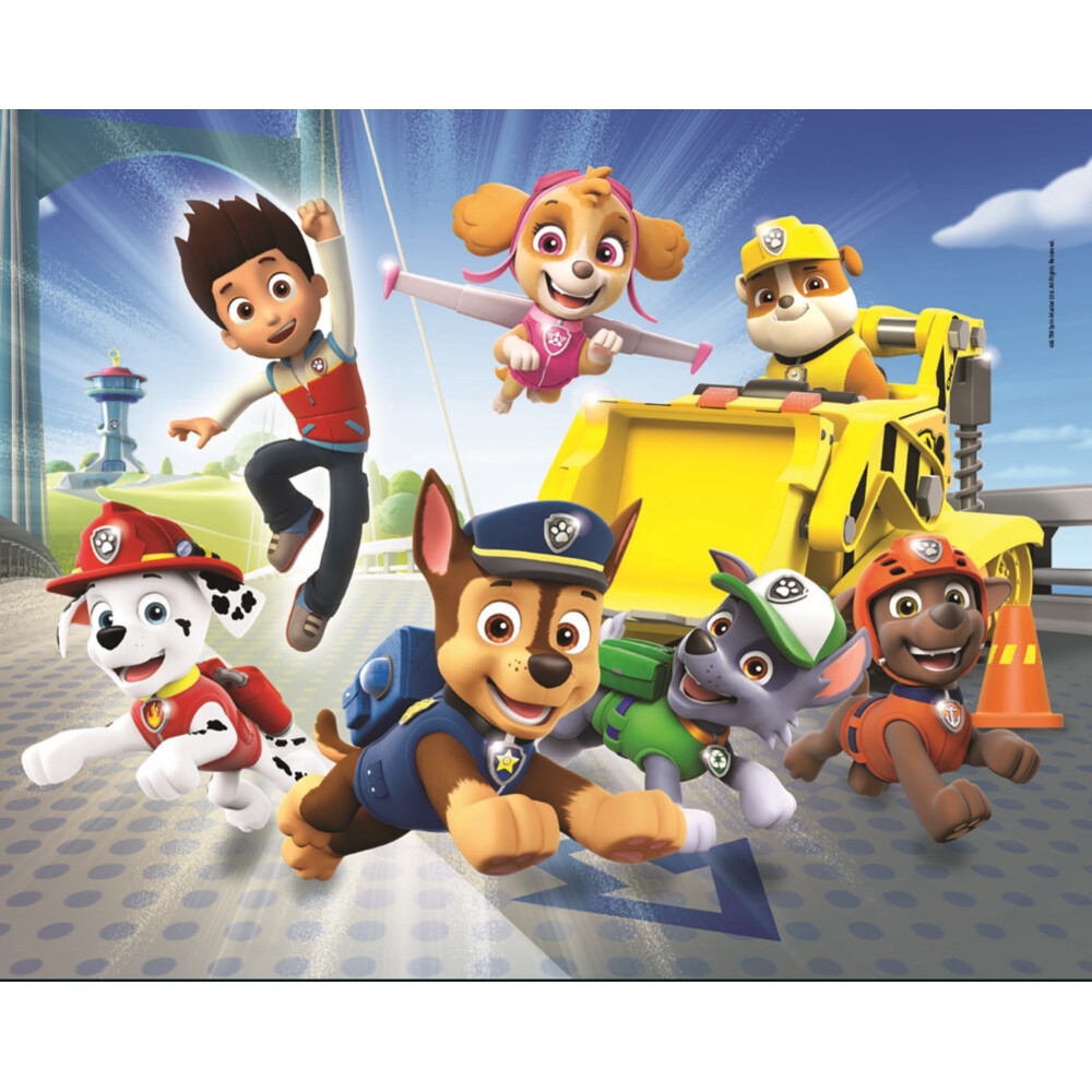 Clementoni Paw Patrol - 20 + 60 +100 +180 Stukjes