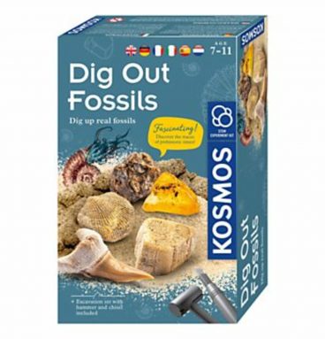 Dig Out Fossils