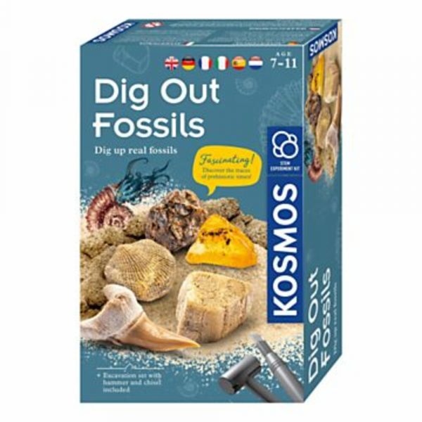 Dig Out Fossils