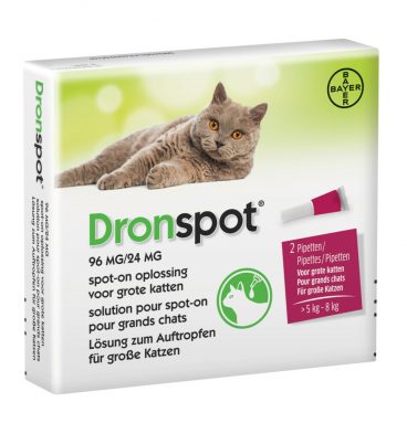 Dronspot Spot On Kat Anti Vlooien en Teken Druppels Kat 5 - 8 kg 2 pipetten