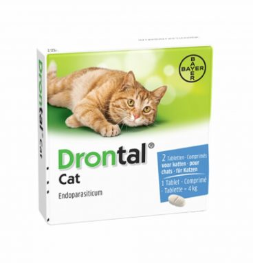 Drontal Ontworming Tabletten Kat vanaf 4kg 2 tabletten