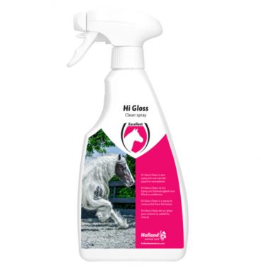 Excellent Clean Spray 500 ml