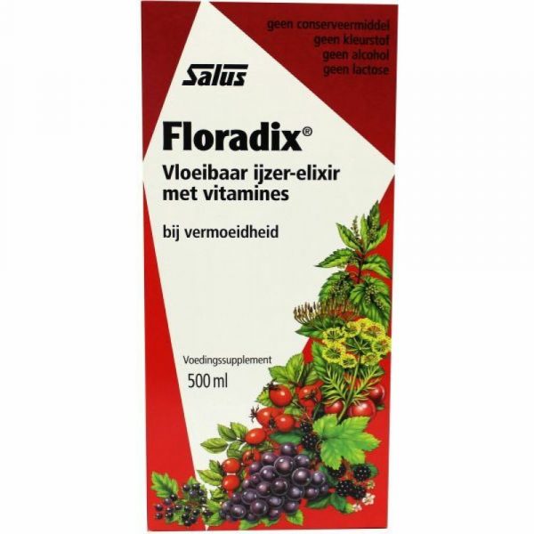 Floradix Vloeibaar Ijzer-Elixer met Vitamines 500 ml