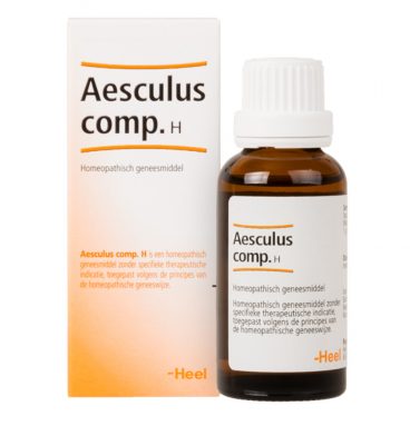 Heel Aesculus Compositum H 100 ml