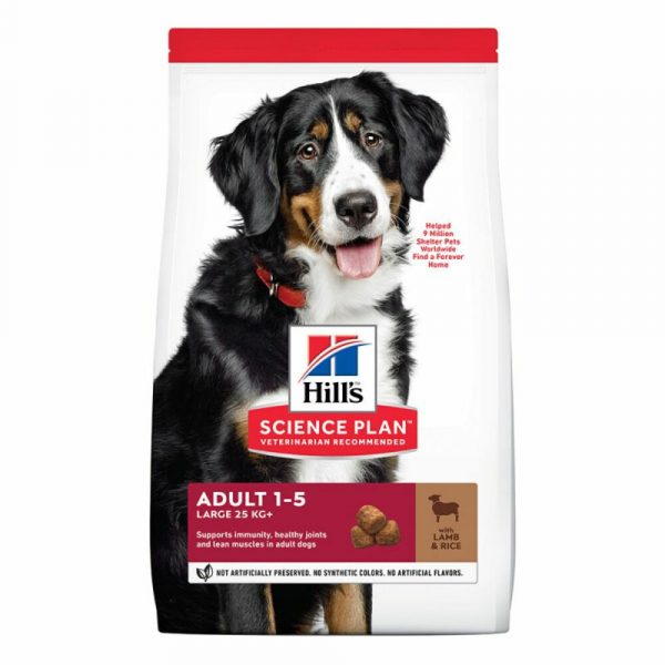 Hill's Science Plan Adult Large Lam - Rijst 12 kg