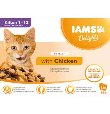 Iams Delights Pouch Multipack Kitten Chicken Jelly 12 x 85 gr