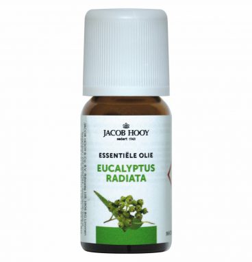 Jacob Hooy Eucalyptus Radiata Olie 10 ml