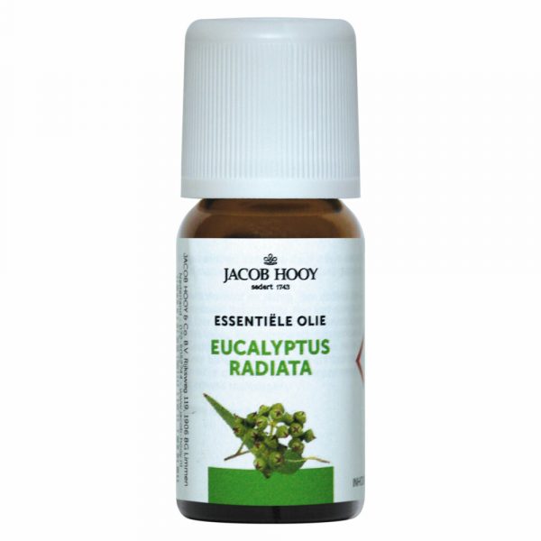 Jacob Hooy Eucalyptus Radiata Olie 10 ml