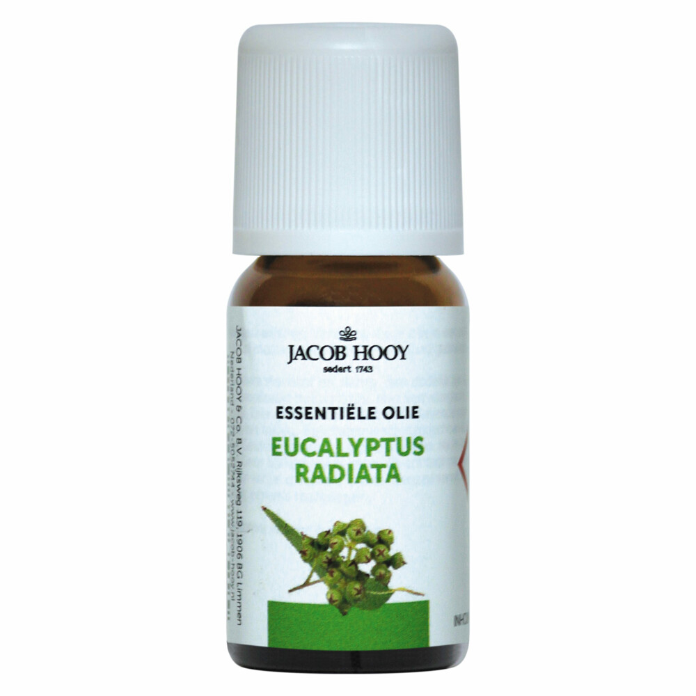 Jacob Hooy Eucalyptus Radiata Olie 10 ml