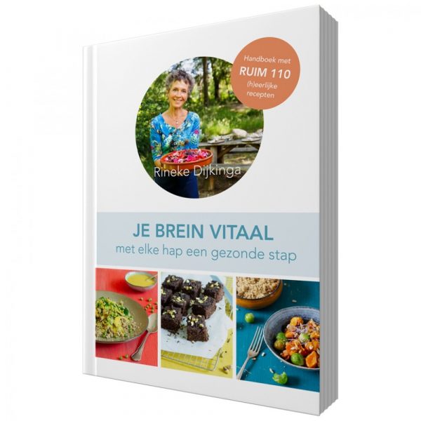 Je Brein Vitaal Rineke Dijkinga