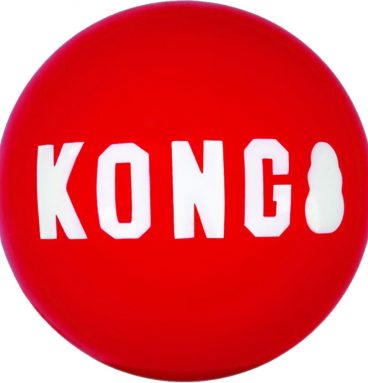 Kong Signature Balls M 2 stuks