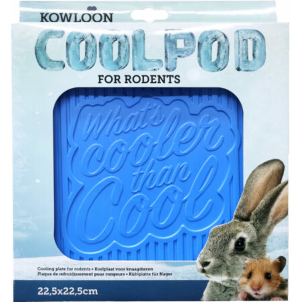 Kowloon Cool Pod 22