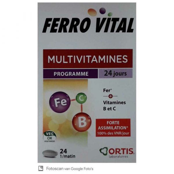 Ortis Ferrovital 24 tabletten