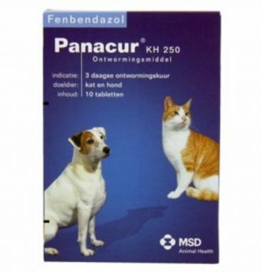 Panacur Ontworming Tabletten Hond - Kat 250 mg 10 tabletten