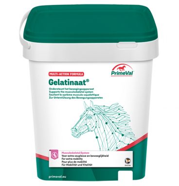 PrimeVal Gelatinaat Paard 2 kg