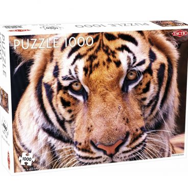 Puzzel Dieren: Tijger Portrait 1000 stukjes