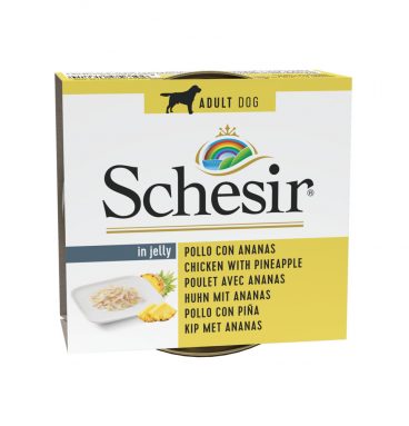 10x Schesir Hondenvoer Kip - Ananas 150 gr