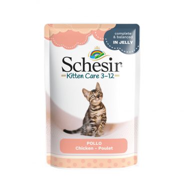 Schesir Kattenvoer Kitten 3-12 Kip in Gelei 85 gr