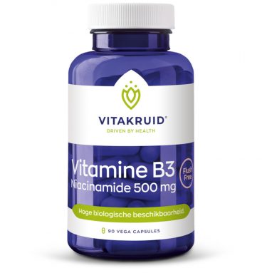 Vitakruid B3 Niacinamide 500 mg 90 capsules