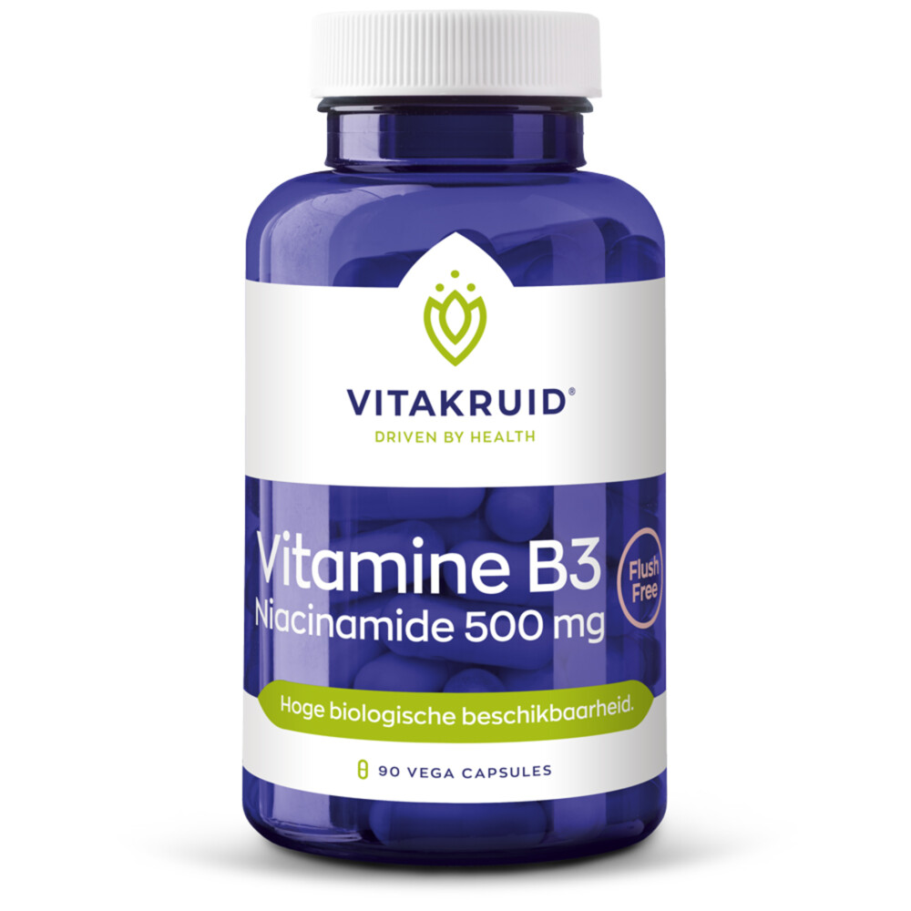 Vitakruid B3 Niacinamide 500 mg 90 capsules