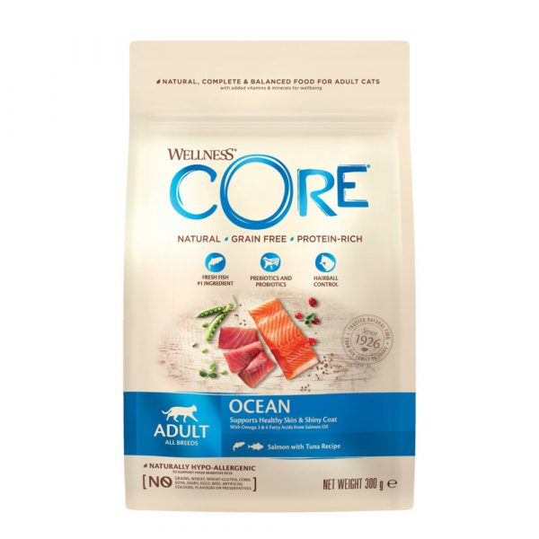 6x Wellness Core Kattenvoer Original Zalm - Tonijn 300 gr