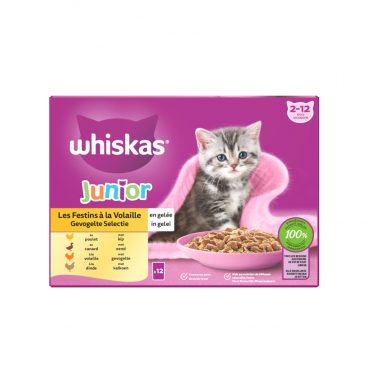 4x Whiskas Junior Multipack Gevogelte Selectie in Gelei 12 x 85 gr