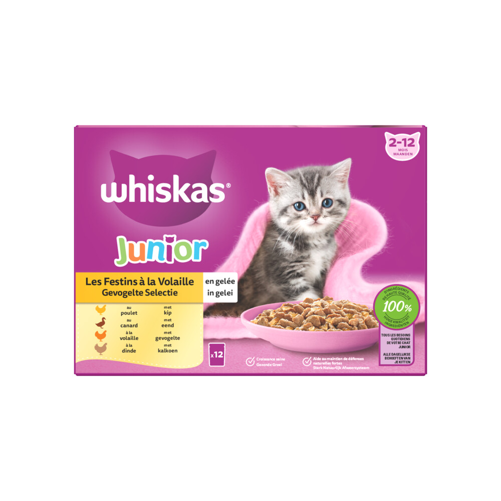 4x Whiskas Junior Multipack Gevogelte Selectie in Gelei 12 x 85 gr